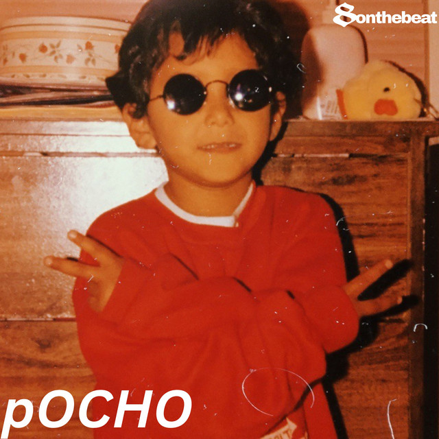 pOCHO artwork